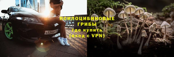 круглые Белокуриха