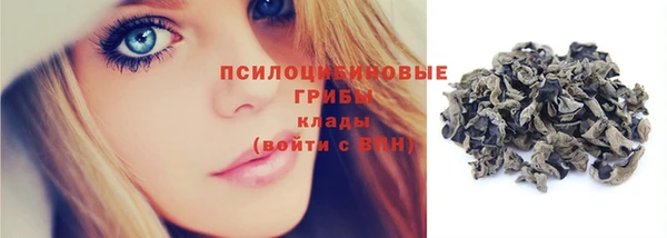 прущие крисы Беломорск