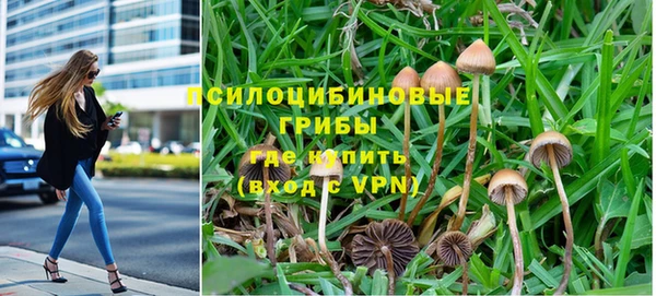 a pvp Протвино