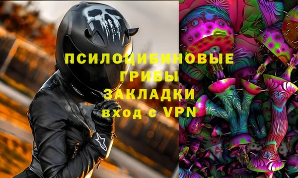 круглые Белокуриха