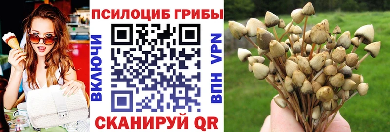 Галлюциногенные грибы Cubensis  где найти наркотики  Конаково 